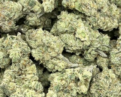 GOLIATH GLUE (EXOTIC SATIVA DEAL) - Image 1